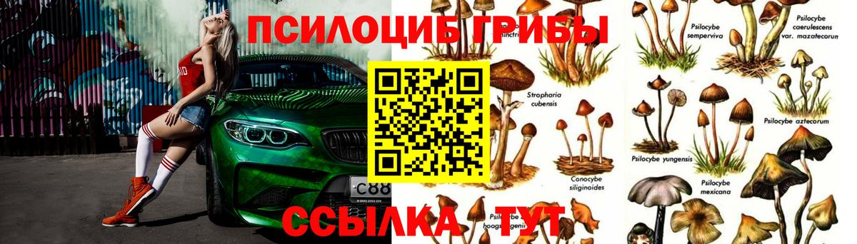 Керчь  Псилоцибиновые грибы мицелий  Вход с VPN 