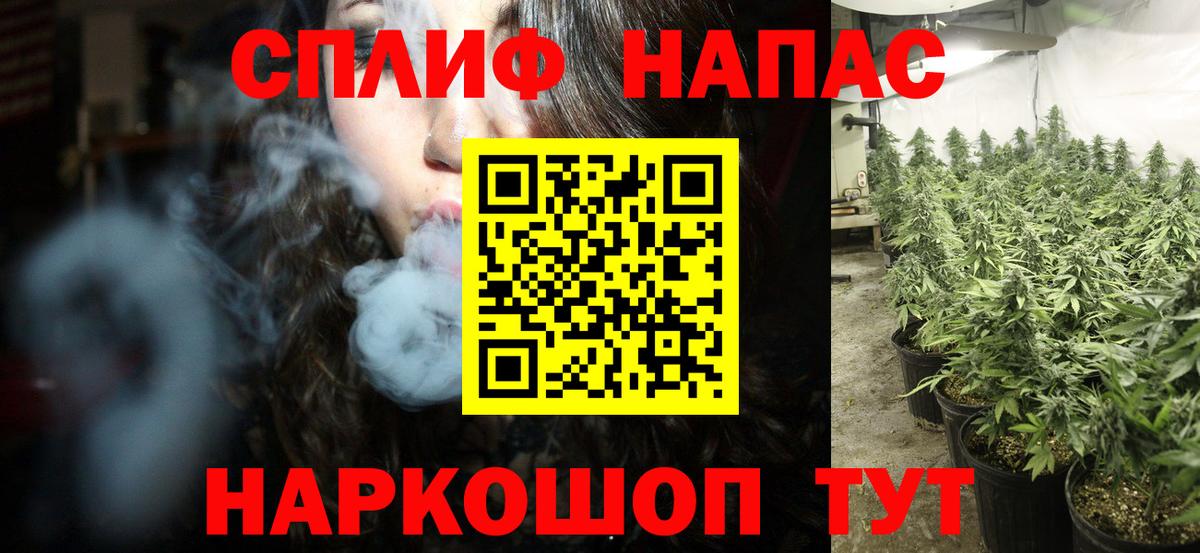 Конопля SATIVA & INDICA  Конопля план  Вход с VPN  Керчь  Марихуана конопля  Бошки Шишки сатива 